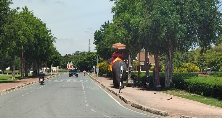 Elephant Riding in Ayutthaya, Thailand