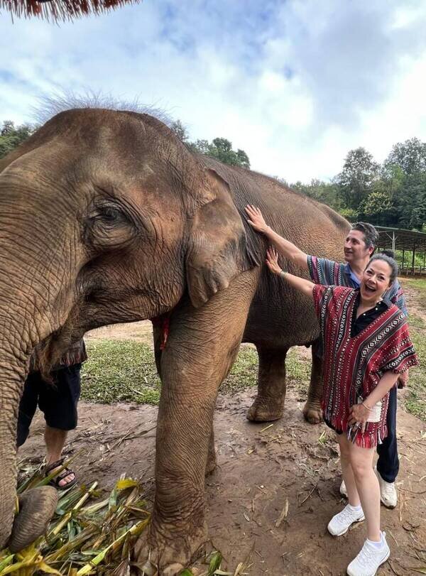 7-Day Bangkok and Chiang Mai Highlights Tour