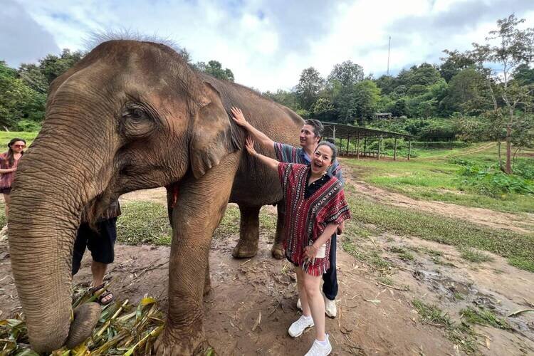 Elephant Jungle Sanctuary
