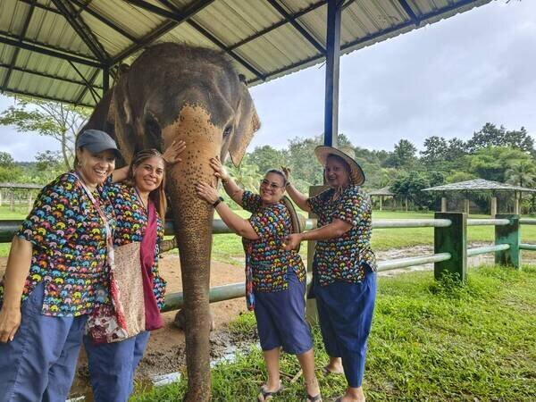 Chiang Mai Elephant Experience