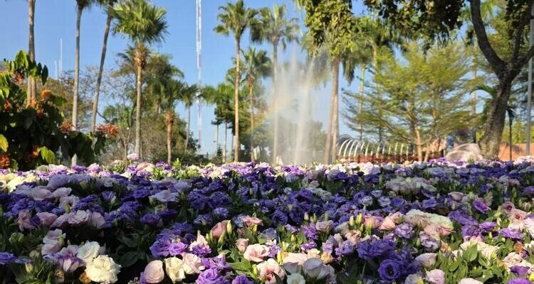 Chiang Mai Flower Festival 