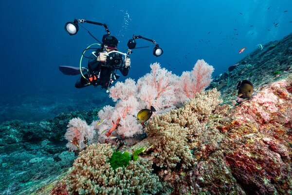 How to Choose from Thailand's Islands