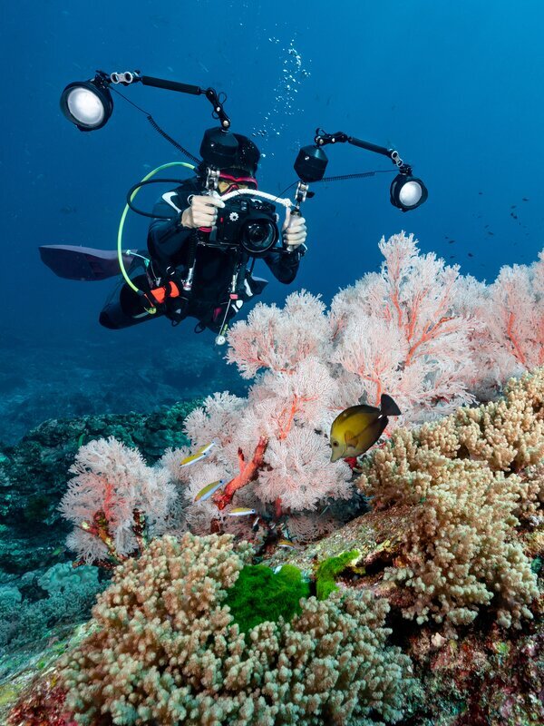 Diving in Similan
