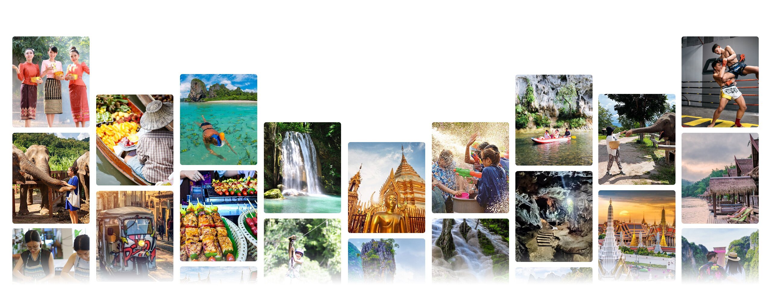 Your Family Journey of Discovery