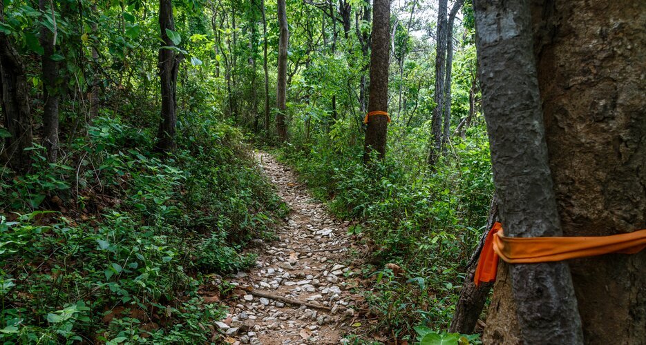 Monk's Trail