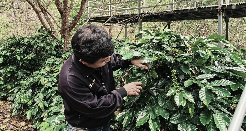 A Karen farmer is introducing his coffee farm to us.