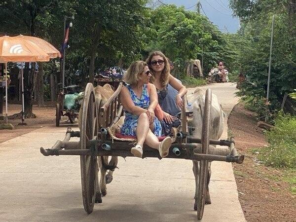 Ox car