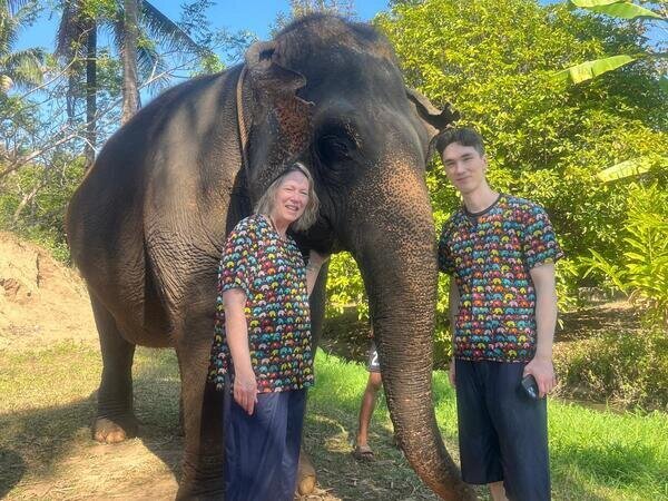 Interact with elephants