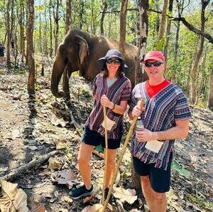 Walking with elephants through the forest.