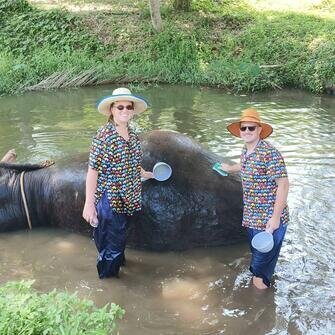 Elephant sanctuary in Chiang Mai