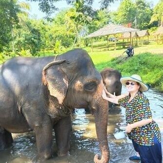 Chiang Mai elephant experience