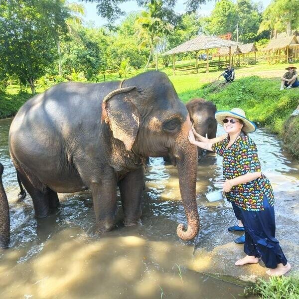 Visit Elephant Sanctuary with Thailand Highlights